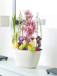 Easter flowerspot arrangement Lounge