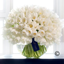 Luxury Tulip Vase bouquet