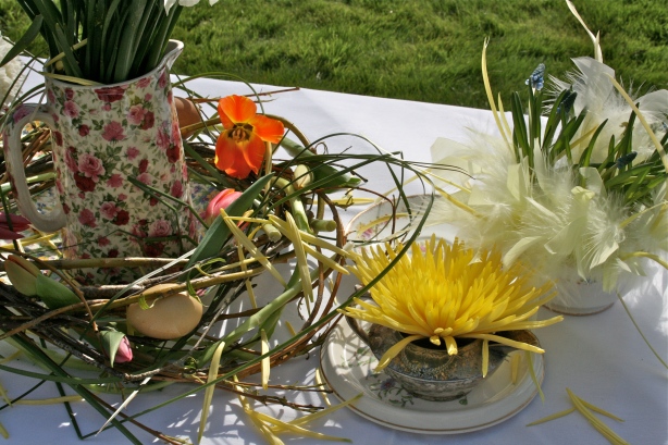 Selection of spring flowers