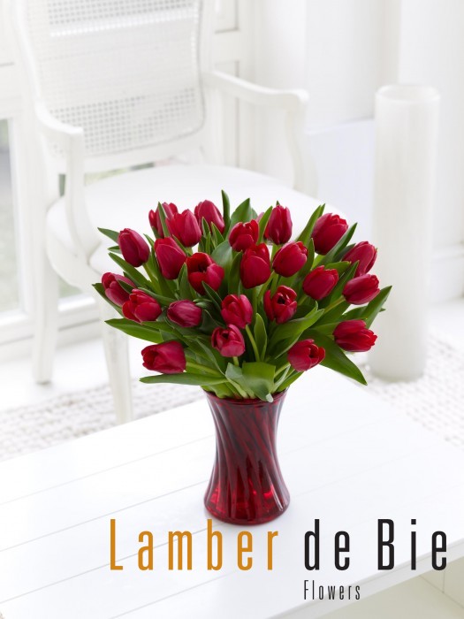 Valentines tulip gift