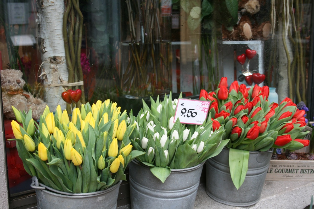 Tulips, always a great favorite at Valentines