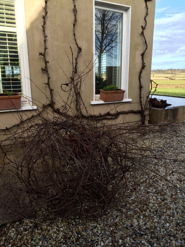Creating a gardfen object from your prunes vine twigs.