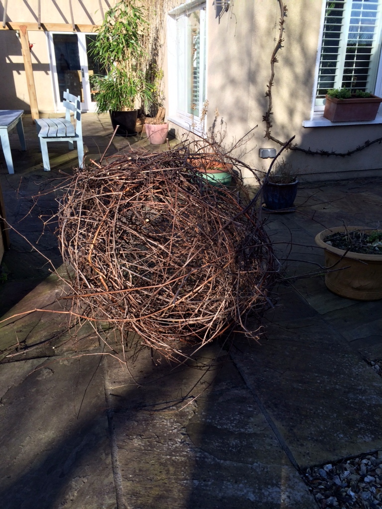 Creating a garden sculpture from your vine branches.